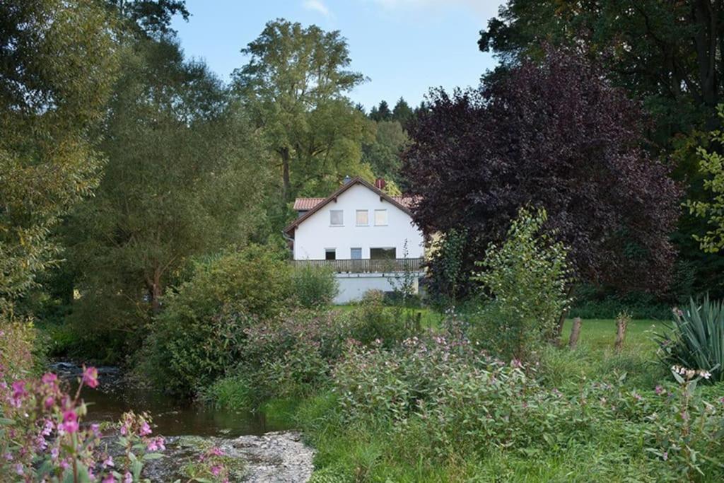 Wald-Apartment Limbach-Oberfrohna Exterior foto