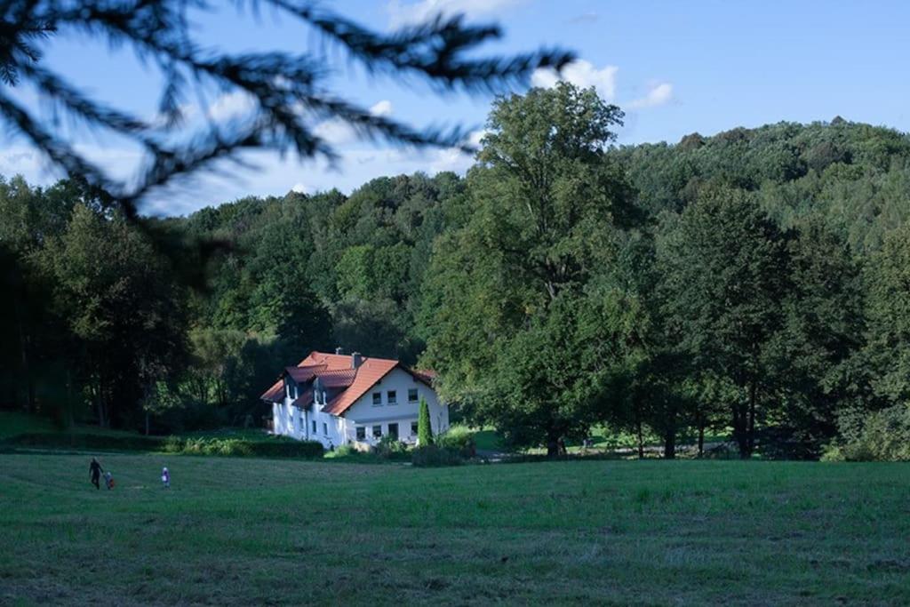 Wald-Apartment Limbach-Oberfrohna Exterior foto