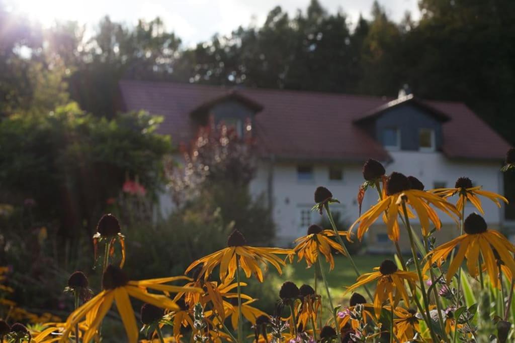 Wald-Apartment Limbach-Oberfrohna Exterior foto