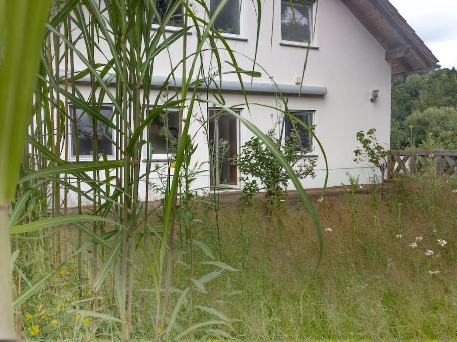 Wald-Apartment Limbach-Oberfrohna Exterior foto