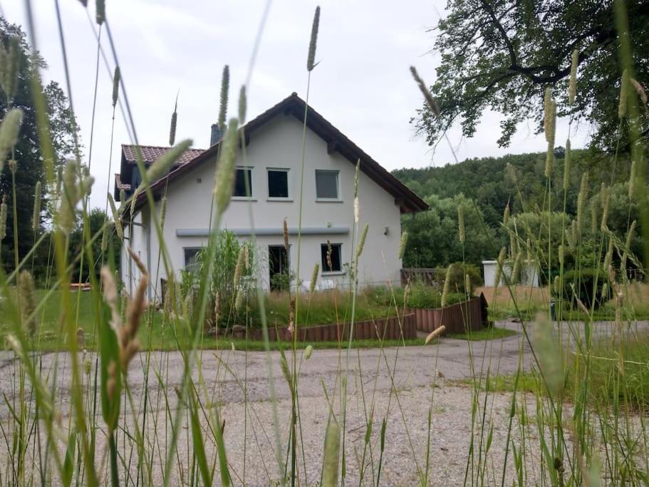 Wald-Apartment Limbach-Oberfrohna Exterior foto