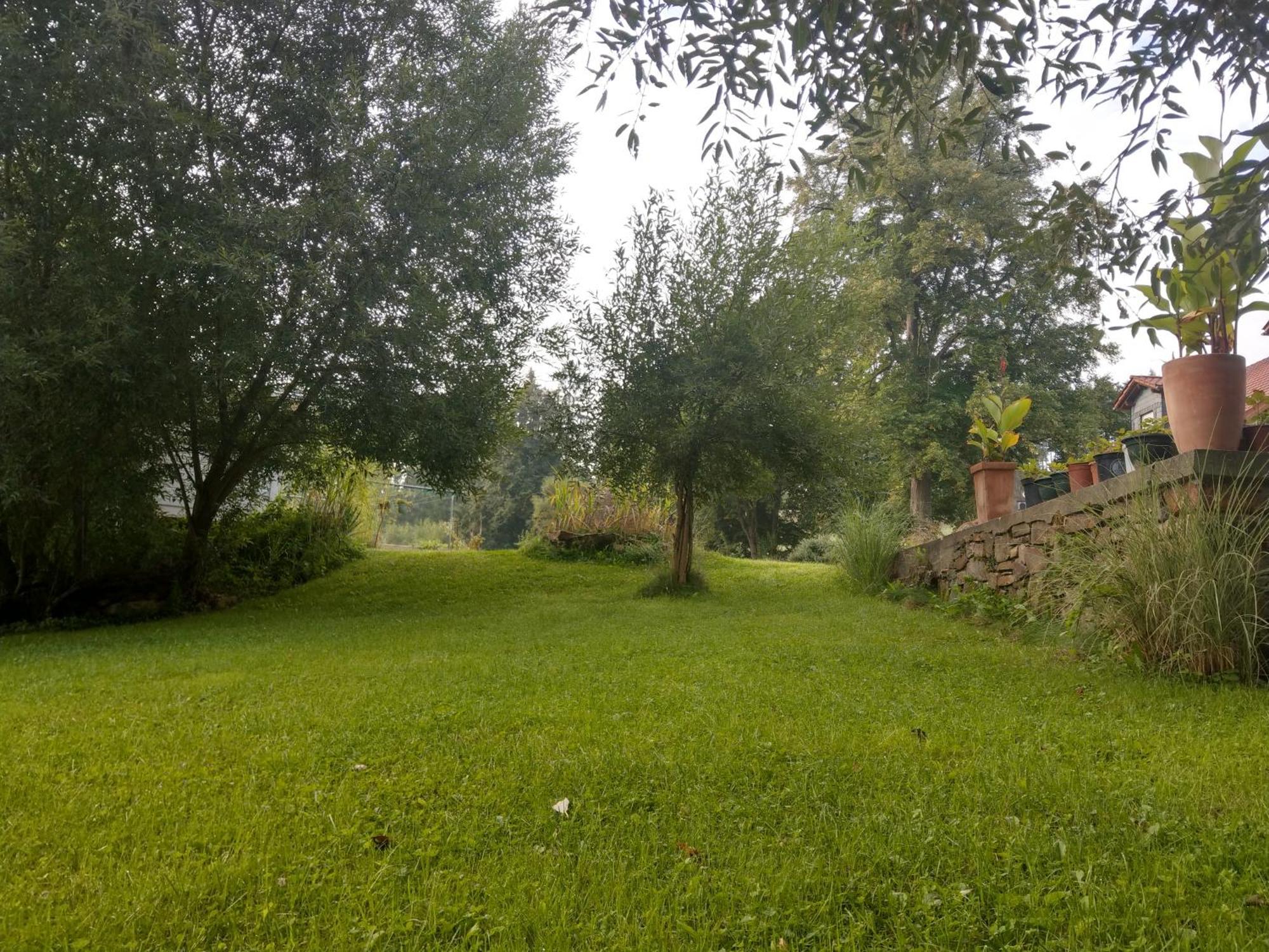 Wald-Apartment Limbach-Oberfrohna Exterior foto